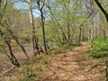 Buckquarter Creek Trail in Eno River State Park